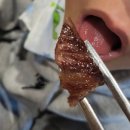 창녕대로 | 창녕 가족식사 한우 적우에서 소한마리 내돈내먹