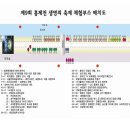 연가교옆 Daum카페