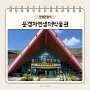 문경시청(문경자연생태박물관) | [문경여행] 문경 아이와 가볼만한 무료 실내 체험관 문경 자연생태박물관