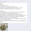 상훈집