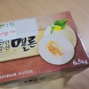 아우내농협 수신지점 | 수신멜론 허니듀 메론 보관법, 오늘의농수산 메론 자르는 방법