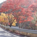 보발재 정상 주차장 이미지