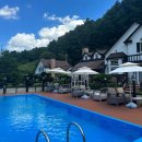 대명노르웨이숲 이미지