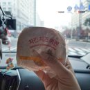 마이캣 | 뒤늦은 궁디팡팡 캣페스타 후기(세텍 주차,고양이장난감,카모네코,마이미누,고양이용품)