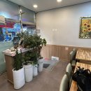 오거리 수족관 앞 이미지