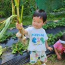 숲속나라어린이집 | 정관 숲속나라어린이집의 생태친화 보육 환경