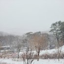 홍유가인 이미지