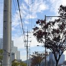 대창들공원 이미지