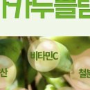 초록비타민 이미지