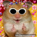 수원-1980 이미지