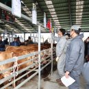 진주축산 이미지