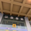 11260-2-10-5 | 2026 김성규 콘서트 후기 [LV4: Leap to Vector] in SEOUL 올림픽홀 2층 E4구역 5열 시야 괜찮았던 자리