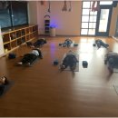 봄요가 - 고양시 일산동구 무궁화로 8-38 | 봄요가