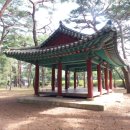 송림투어