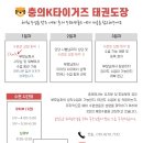 충의 K타이거즈 태권도장 네이버블로그