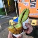 크레스티드 게코 도마뱀 입양 후기