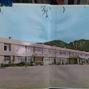 포항여자중학교 | 포항여자중학교(포항)36회