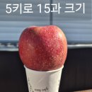 감홍사과 실중량5키로 10키로 가성비로 드립니다 미세흠 정품혼합 특가 한정수량 이미지