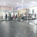팀준