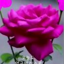 다 보이는 세상 이미지