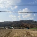 문주1리 네이버블로그