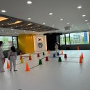 세종태권도장체육관 | 대전유아체육 유성구 최고의 태권도장, 세종태권도장 후기