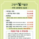 고양이 이발관 이미지