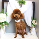 마린시티그루밍 이미지