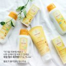 용담면 8581[48-14] | 벨레다 베이비 앰버서더 클럽 1기를 모집합니다!