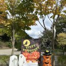 99 | 가평 키즈 캠핑장 &#34;캠프99&#34; 솔직 이용 후기