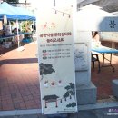 동산동약령시골목길 마을관리 사회적협동조합