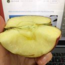 다나농원