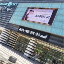 엘리시아 | 종로3가 금은방 웨딩밴드 만족 엘리시아 계약후기