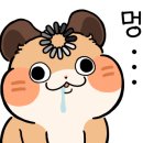 두진상사