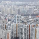 청와대 이전에 꺾이는 세종 부동산… 인근 부동산까지 타격 이미지
