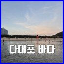 다대포공인중개사사무소 이미지