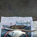 늑도방파제 이미지