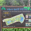 우름바위 이미지