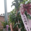 공정거래전문 김앤조 행정사사무소 | 공정거래 행정분쟁 전문 김앤조 행정사 사무소