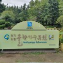 테마-방방곡곡(사시사철) | [경기도 가볼만한 곳]오산 물향기수목원 (입장료, 쉬는 날)
