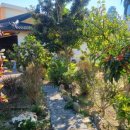 하이커피 이미지