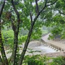 숲속의 쉼터민박 이미지