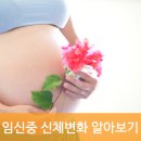 피오나여성의원 | '노원산부인과' 여의사전문의병원으로 유명한 피오나여성의원에서 임신중 신체변화에 대해 알려드립니다.