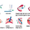 다담치과