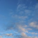 (주)영그린 이미지