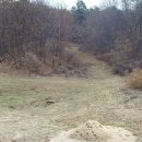 청주경씨 시조묘역 이미지