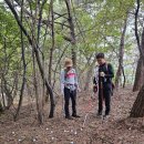 [국도29] 서산시 일람리