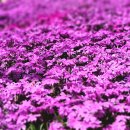 서동리 경로당 이미지