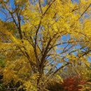 강과별민박 이미지