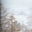 러브레터 - 남양주시 경춘로 377 | 러브레터